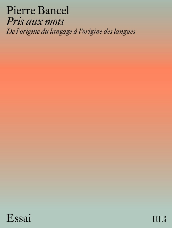 Pris aux mots. De l'origine du langage à l'origine des langues