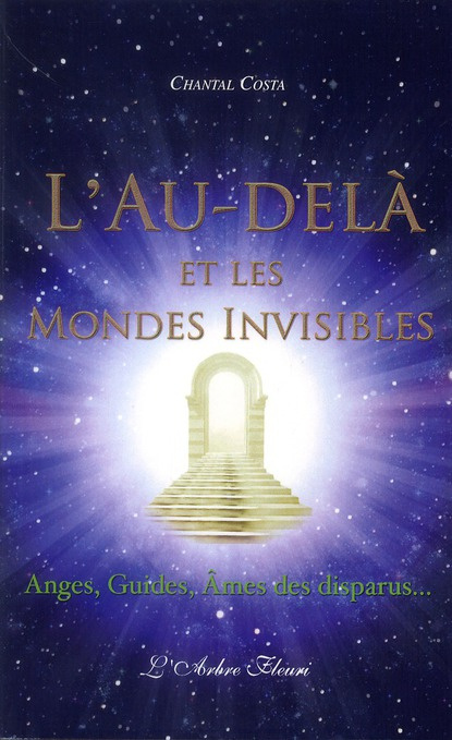 L'Au-delà et les mondes invisibles. Anges, Guides, Ames des disparus...