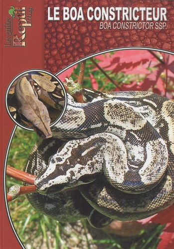 Le boa constricteur. Boa constrictor