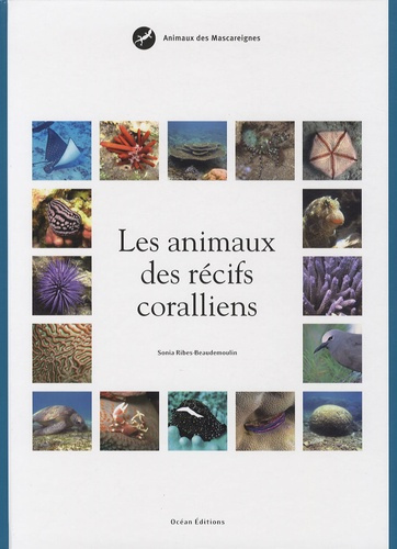 Les animaux des récifs coralliens. Animaux des Mascareignes
