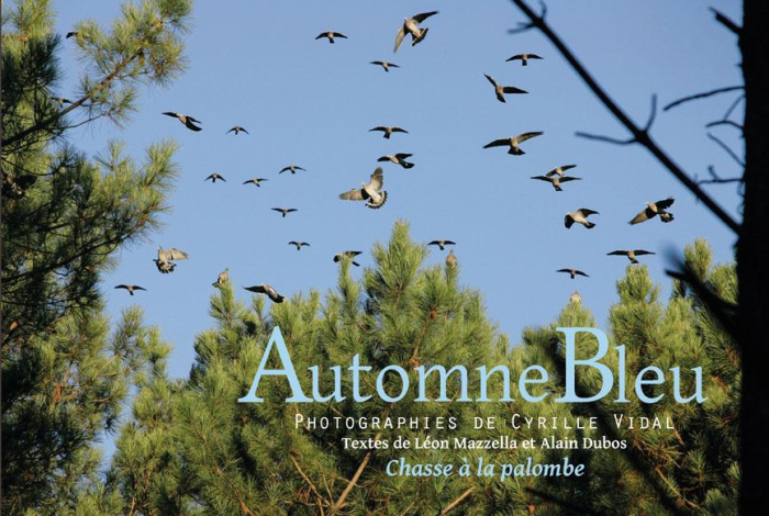 Automne bleu. Chasse à la palombe