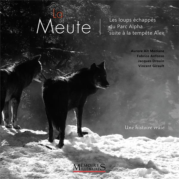 La meute. Les loups échappés du Parc Alpha suite à la tempête Alex
