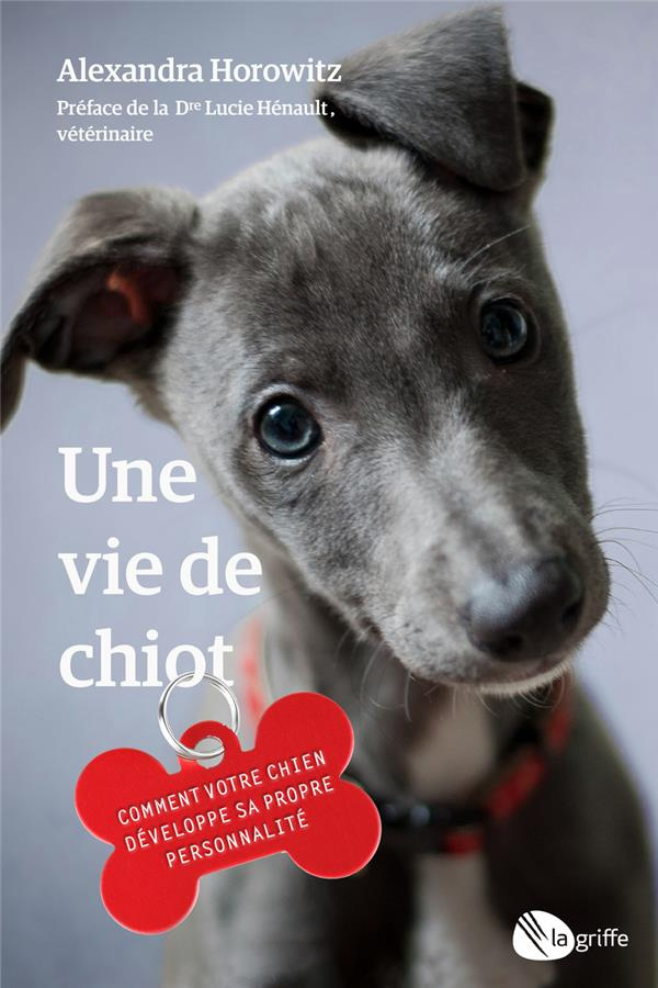 Une vie de chiot. Comment votre chien développe sa propre personnalité