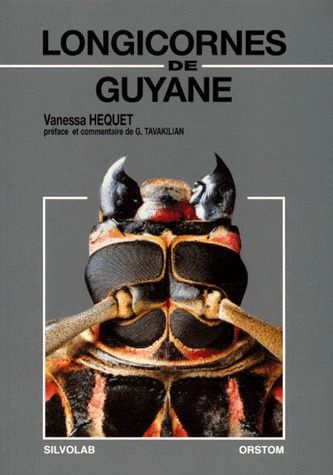 Longicornes de Guyane