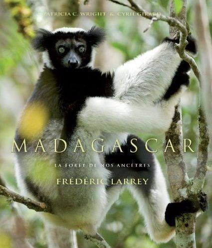 MADAGASCAR. LA FORET DE NOS ANCETRES
