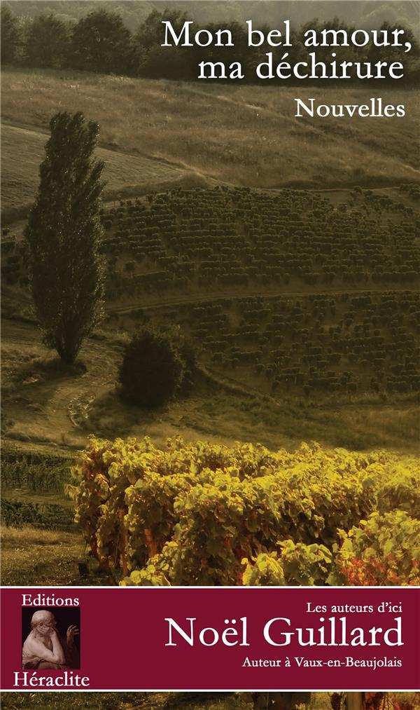 MON BEL AMOUR MA DECHIRURE