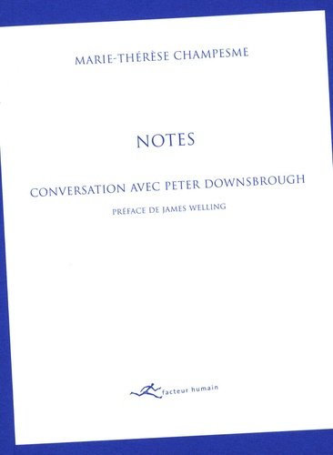 Notes : conversation avec Peter Downsbrough