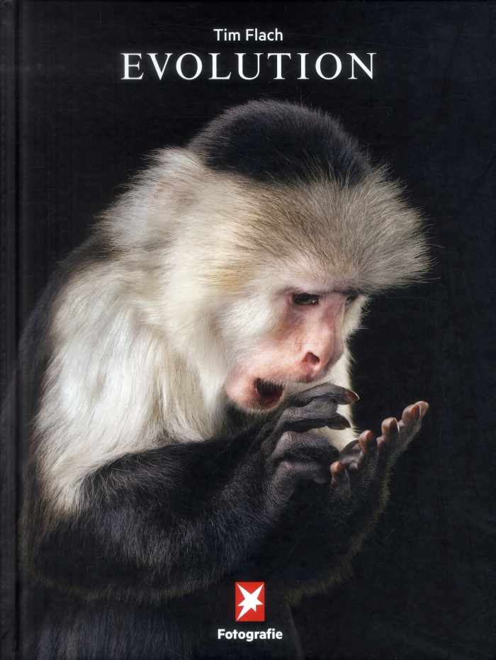 Fotografie N° 74 : Evolution