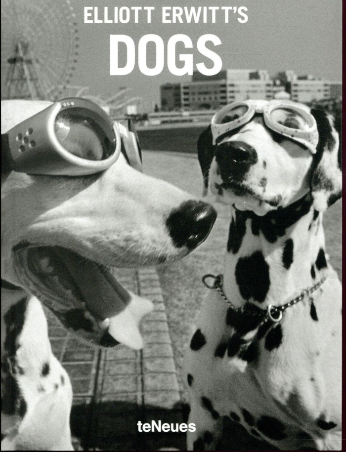 ELLIOTT ERWITT'S DOGS