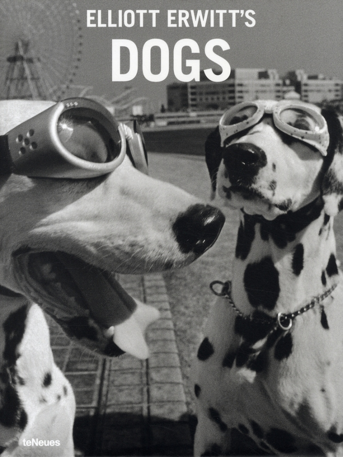 Elliott Erwitt's Dogs