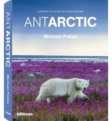 Antarctic. A tribute to life in the polar regions