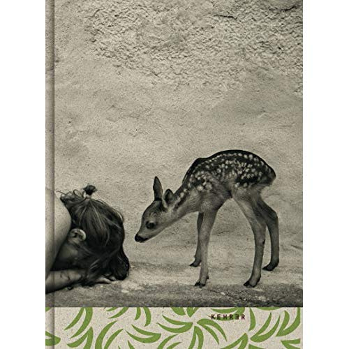 Summer of fawn