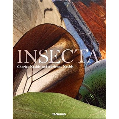 INSECTA