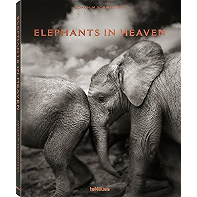 Elephants in Heaven. Edition français-anglais-allemand