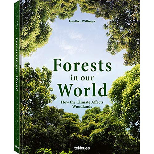 FORESTS IN OUR WORLD, HOW THE CLIMATE AFFECTS WOODLANDS