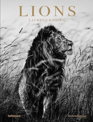 Lions. Edition français-anglais-allemand