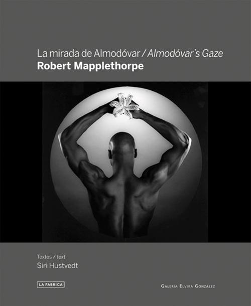 LA MIRADA DE ALMODOVAR / ALMODOVAR'S GAZE