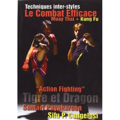 Le combat efficace muay thai kung fu