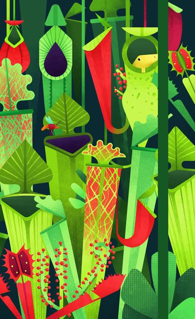 Agenda plantes carnivores. Edition 2019