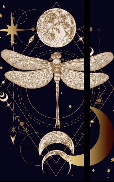 Agenda La magie de la nuit. Edition 2025