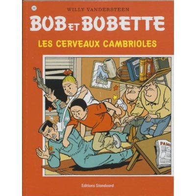 LES CERVAUX CAMBRIOLES