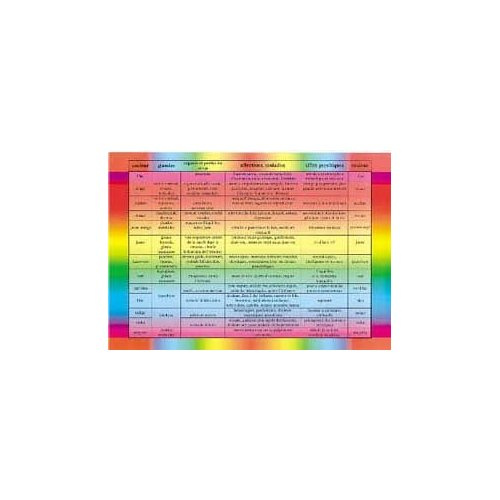 Planche Thérapie par les couleurs - A4