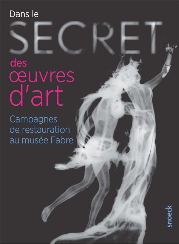 Dans le secret des oeuvres d'art. Campagnes de restauration au musée Fabre