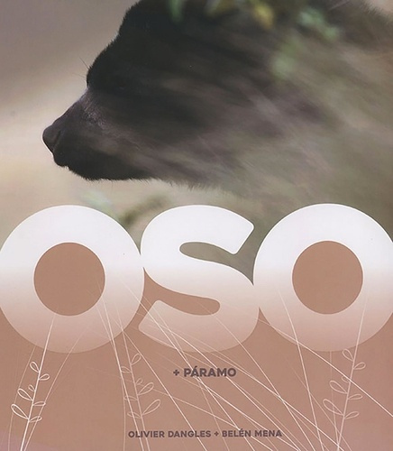 Oso.   Páramo