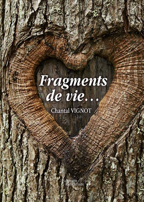 Fragments de vie...
