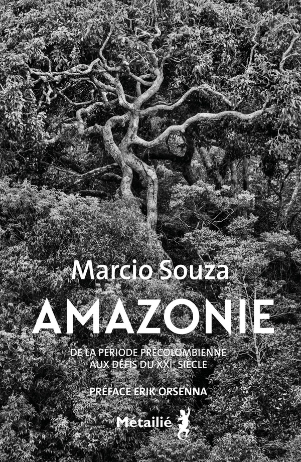 Amazonie. De la période précolombienne aux défis du XXIe siècle