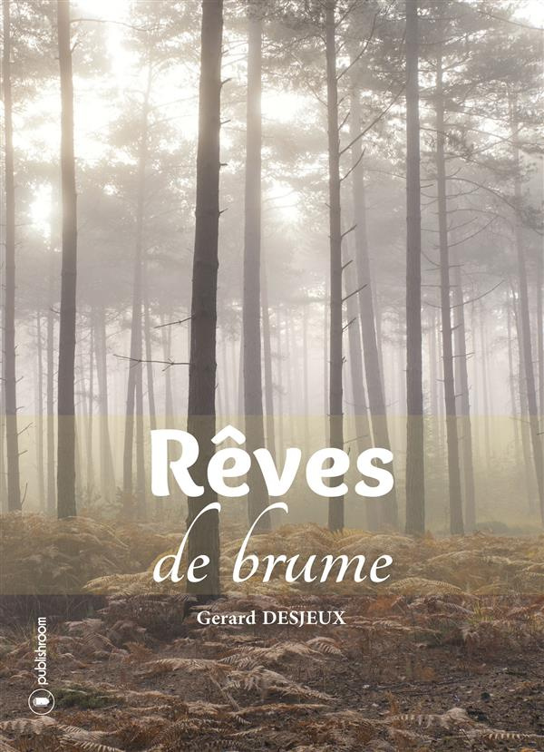 Reves de brume