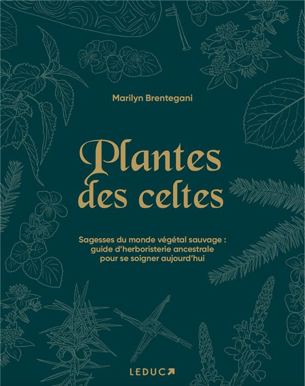 Plantes des Celtes. Sagesses du monde végétal sauvage : guide d'herboristerie ancestrale pour se soi