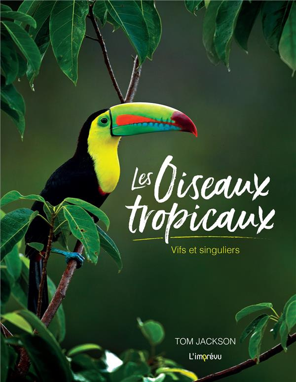 Les oiseaux tropicaux. Vifs et singuliers