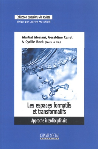 Les espaces formatifs et transformatifs. Approche interdisciplinaire