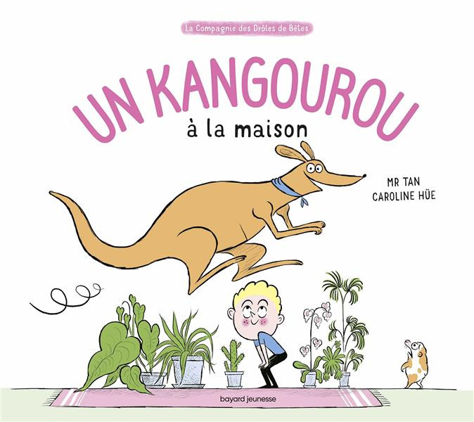 UN KANGOUROU A LA MAISON