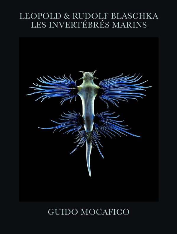 Leopold & Rudolf Blaschka. Les invértébrés marins, Edition numérotée
