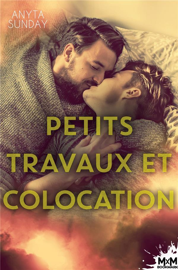 UN FOYER A CONSTRUIRE - T02 - PETITS TRAVAUX ET COLOCATION - UN FOYER A CONSTRUIRE, T2