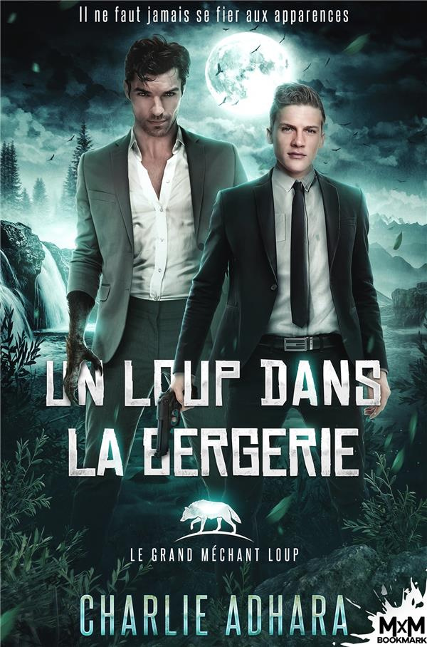 Le grand méchant Loup Tome 4 : Un loup dans la bergerie