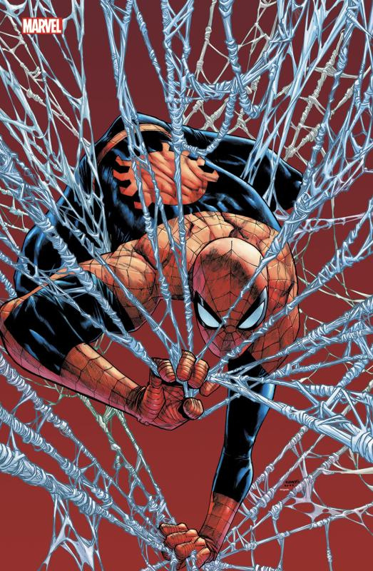 Marvel Comics Tome 16 . Edition limitée