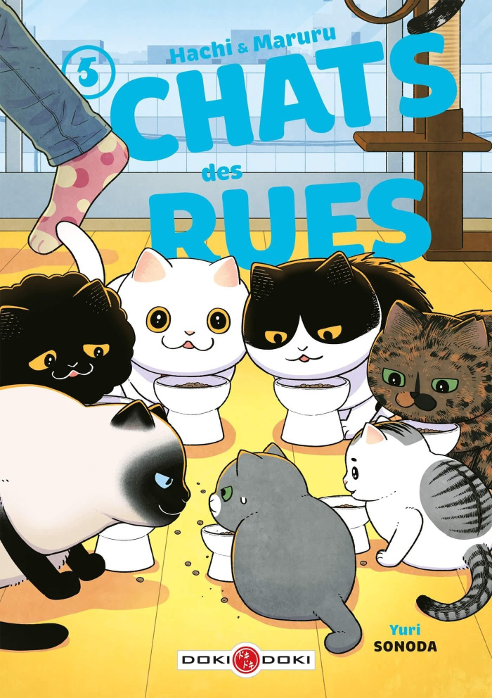Chats des rues - Hachi & Maruru Tome 5