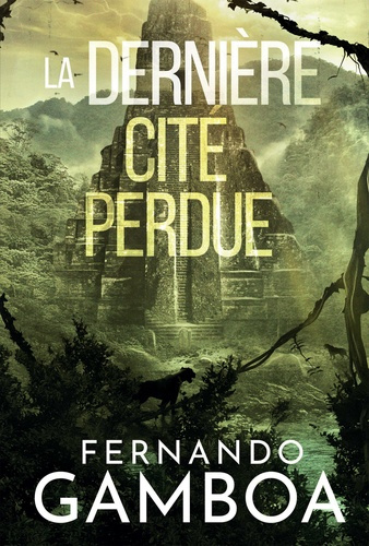 Les aventures d'Ulysse Vidal Tome 2 : La dernière cité perdue
