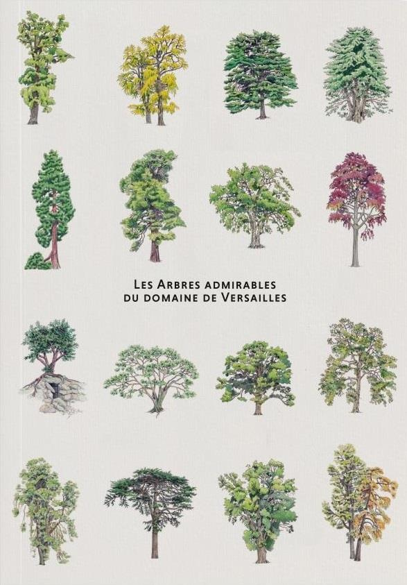 Les arbres admirables du domaine de Versailles