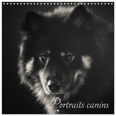 ART_STUDIO_CELINE-PORTRAITS_CANINS_CALENDRIER_MURAL_CARRE_-_12_RACES_DE_CHIENS_REPRESENTEE-9783516590104_0