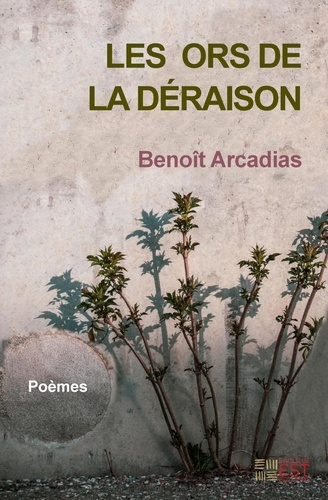 Arcadias_Benoit-Les_ors_de_la_d_raison-9782492812507_0