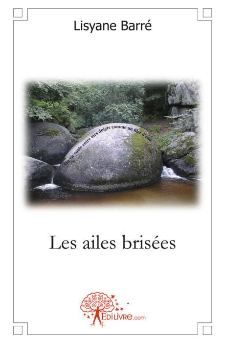 Barre_Lisyane-Les_ailes_bris_es-9782812137143_0