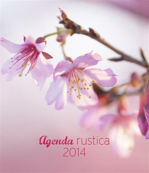 Beauvais_Michel-Agenda_Rustica_2014-9782815303583_0