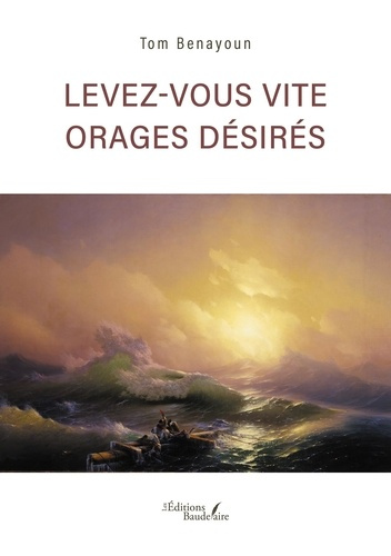 Benayoun_Tom-Levez-vous_vite_orages_d_sir_s-9791020391971_0