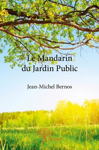 Bernos_Jean-michel-Le_Mandarin_du_Jardin_Public-9782332677488_0