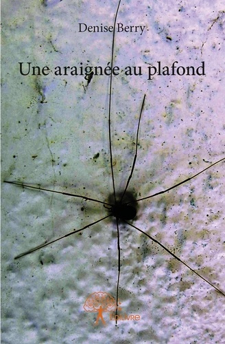 Berry_Denise-Une_araign_e_au_plafond-9782332757029_0