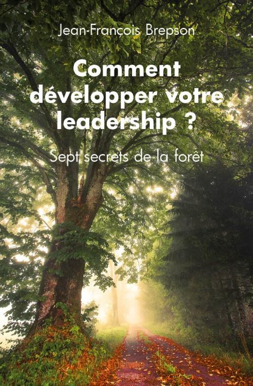 Brepson_Jean-Fran_ois-Comment_d_velopper_votre_leadership_-9782334044424_0